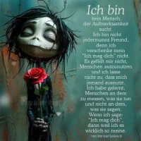 FB_IMG_1742376411079.webp
