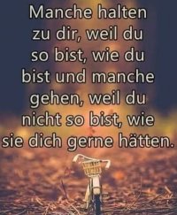 FB_IMG_1743394946240.jpg