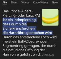 Screenshot_20250519_131033_Chrome.webp