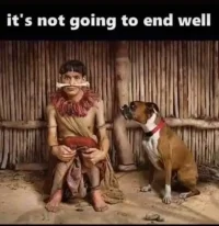 4fun4264.webp