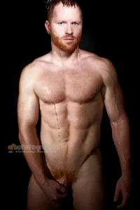 b7a33a2e43d0e4f796bd10af46901471--ginger-head-ginger-guys.webp