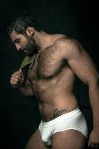 f82afa896f86f8a02d4d92f4db9a59ce--beard-man-hairy-chest.webp