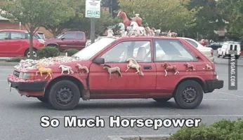 Such-horsepower-wow.webp