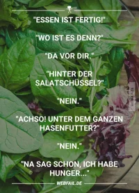 Salat.webp