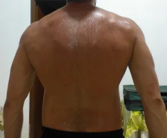 WP_000571.webp