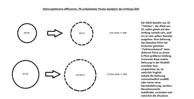 EG-Theorie.webp