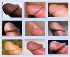 chart-3a.webp