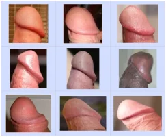 chart-3b.webp