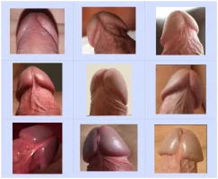 chart-5.webp