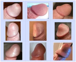 chart-8.webp