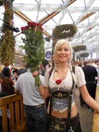 282424574.webp