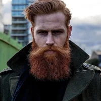 Ginger-Beard.webp