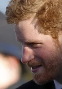 harry-xmas-beard_wqhuqj.webp