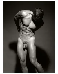THE_MALE_NUDE_9-1332888528l.webp