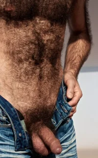 bear_daddy_gay_01.webp