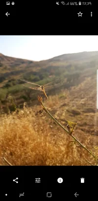 Screenshot_20180628-122913_Photos.webp