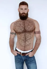 dce2733a48bde3fb09c6df10c038ccb5--hairy-men-bearded-men.webp