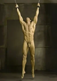 _nude-male-slave-naked.webp
