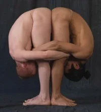 600_424967412.webp