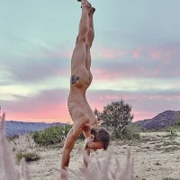 1aea04ab25853e2dceb5a0c5bdf8f7f5--yoga-handstand-yoga-for-men.webp