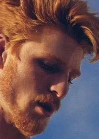 88cc4bd6805b26fdbc110d2b3624e00e--ginger-man-ginger-beard.webp
