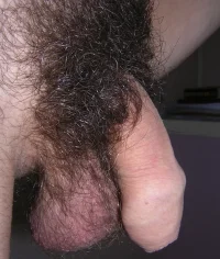 110806_105.webp