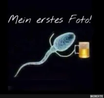 72dc258180ab01978719d74f6edcc4dd6087.webp