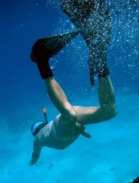 malegalore.tumblr_scuba nude.webp
