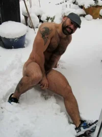 676c60cc0bf63dcbf4cfbfa85ccf9afa--snow-men-polar-bears.webp