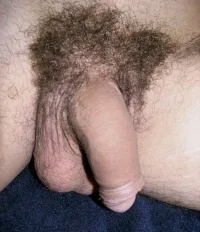 90903_174.webp