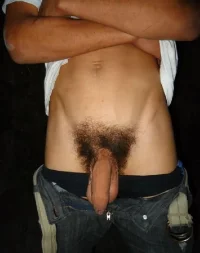 soft-hairy-cock.webp