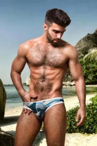 afcfb114d0a8abaae0cc2d38f6201d24--male-underwear-hairy-chest.webp