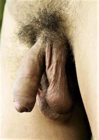 90903_068.webp