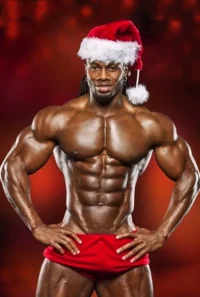 7eceb5b4594a752693872a7a1e3a0a05--santa-outfit-naughty-santa.webp
