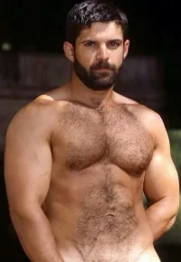 c3695d51b2fe1536f813466d8cd950e0--bearded-men-hairy-men.webp