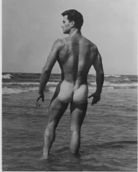 35f030b2cb511573e1746744b43a13ea--sexy-guys-bodybuilding.webp