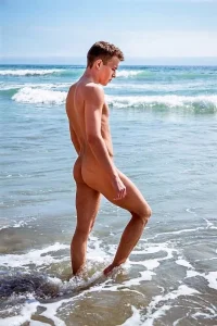 3afb5735413113a36771e5237113659d--beach-boys-at-the-beach.webp