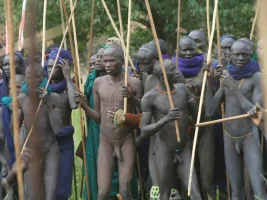 01 surma-mb-07.webp