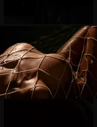 E8993472-BFE5-4E7D-875A-F772D9B14659.webp