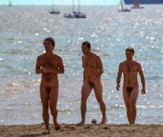 nudist-men-beach-.webp