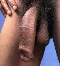 big_flaccid.webp