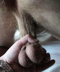 big_balls_low_hangers_34.webp