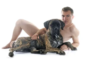 naked-man-italian-mastiff-front-white-background-59845578.webp