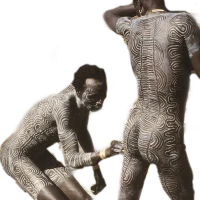 277081840000211.webp