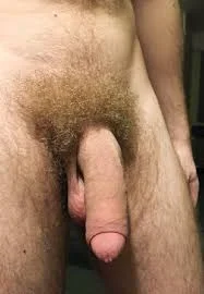 images3CTPVO3M.webp