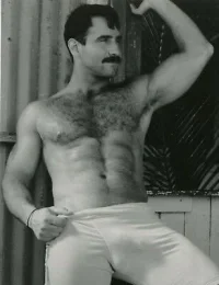 Vintage-Colt-Stamped-BIG-Bulge-Muscular-Hairy-Chest.webp
