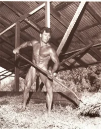 Roy Hilligen 011.webp