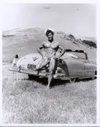 RoyHilligenn-rw[mb]-nude-car01.webp