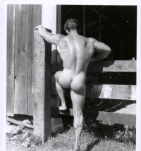 RoyHilligenn-rw[mb]-nude-car04.webp