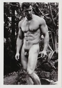 c.ss.adonis1.colt_864x1216.webp